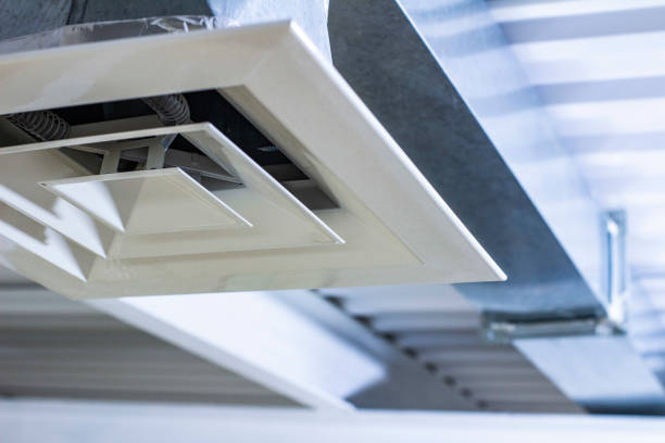 Best Air Duct Sanitizing Services  in Mcadenville, NC